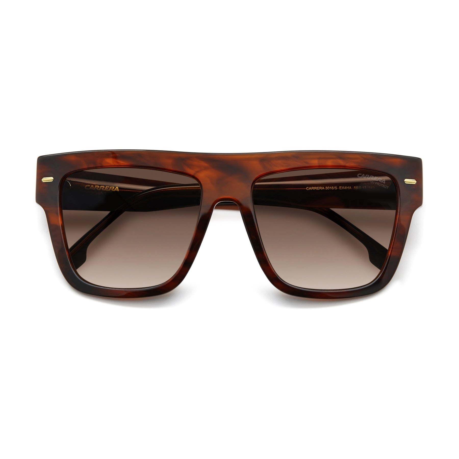 #color_BROWN HORN
