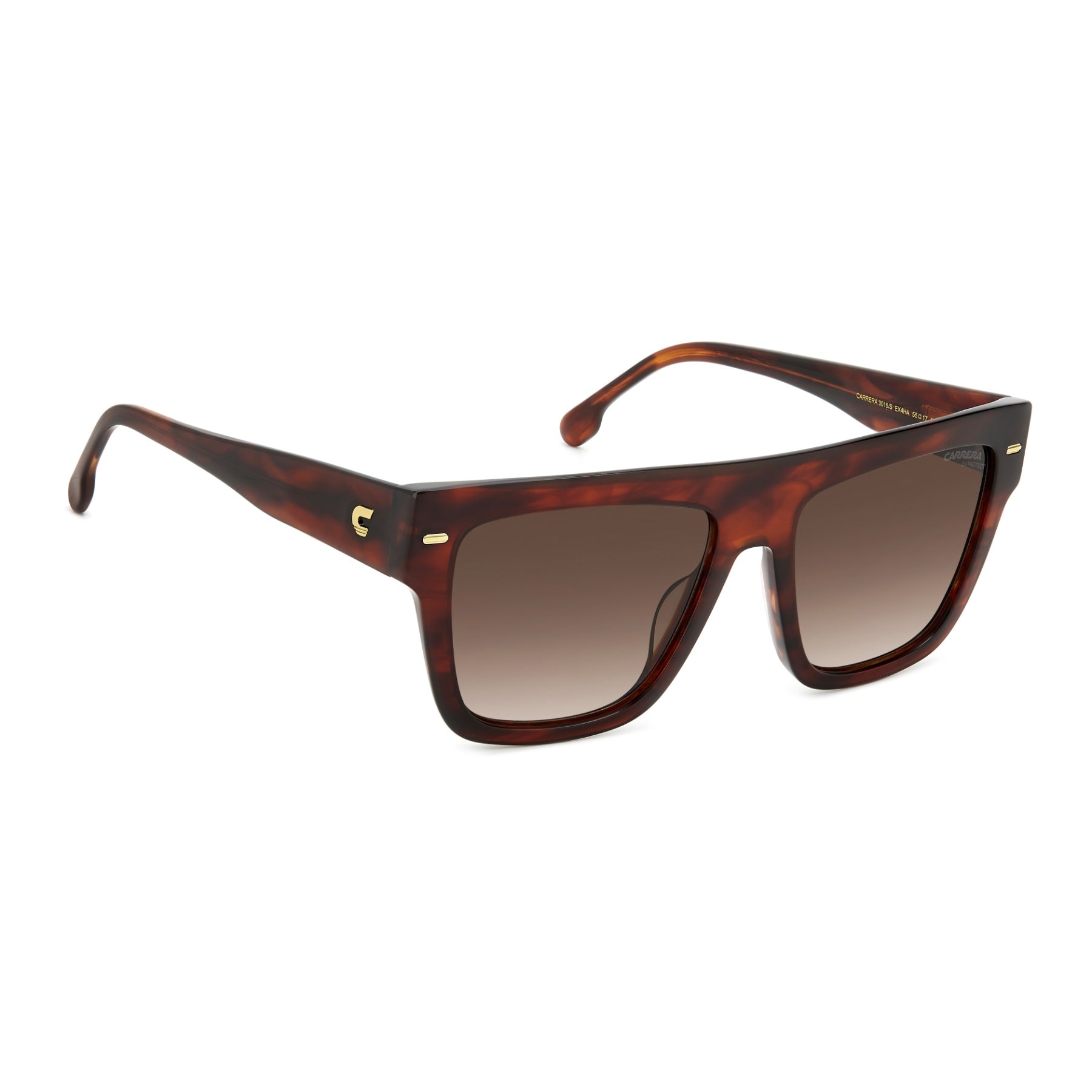 #color_BROWN HORN