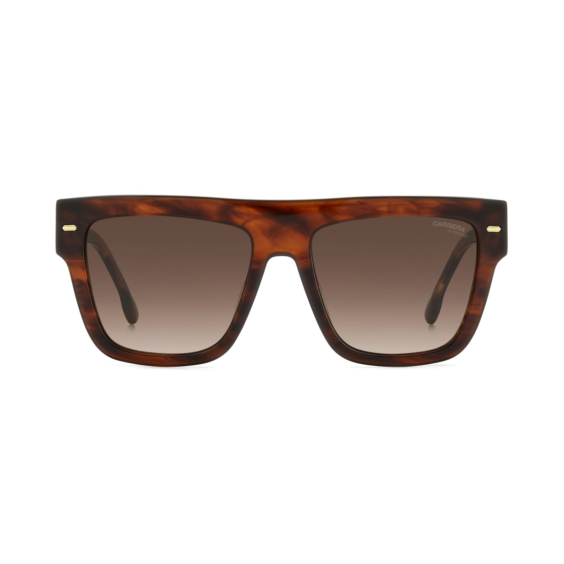 #color_BROWN HORN