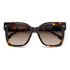 HAVANA / 54-17-140 / BROWN SHADED