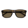 BROWN HORN / 58-17-145 / BRONZE POLARIZED