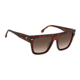 #color_BROWN HORN