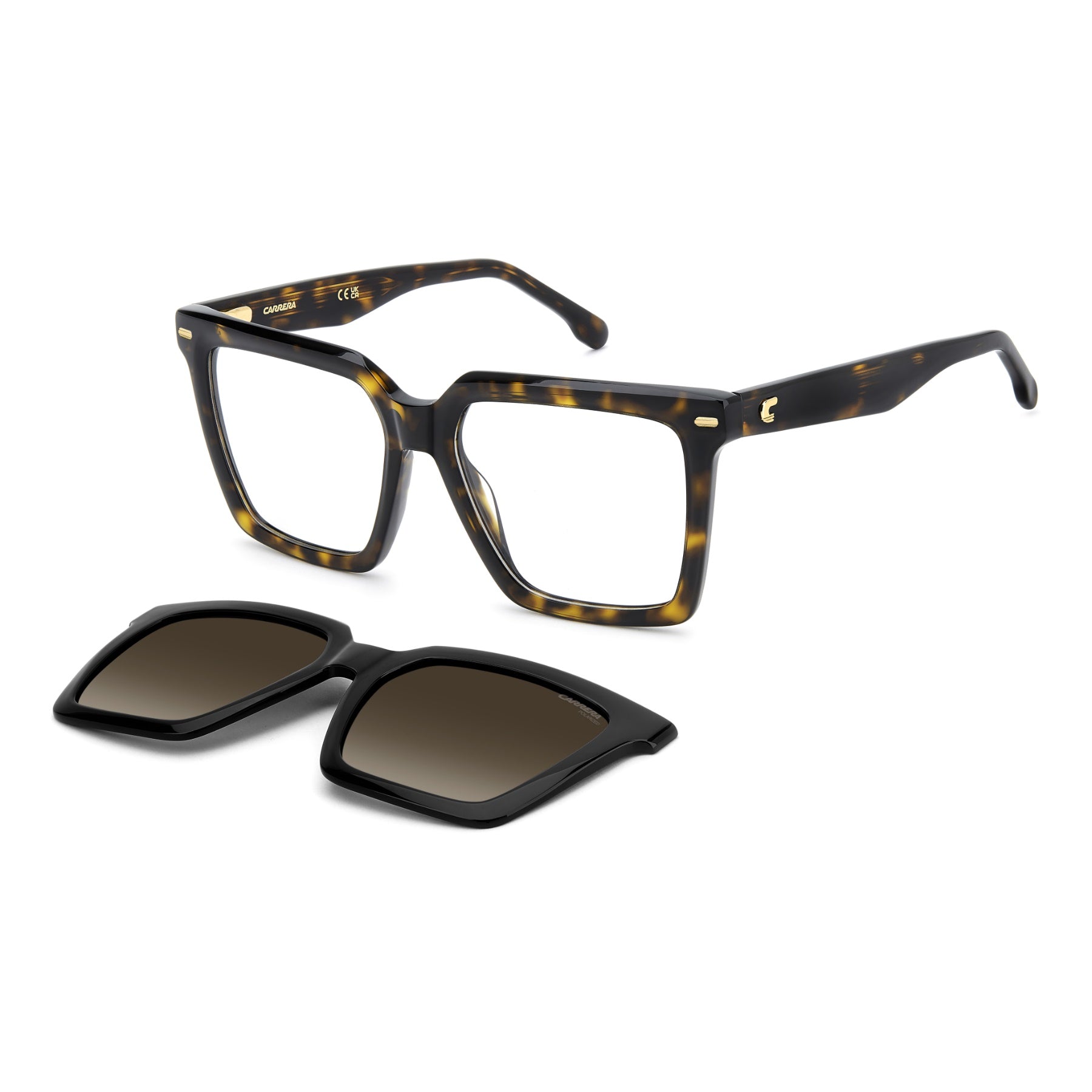 #color_BLACK HAVANA