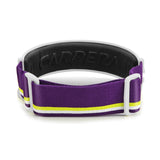 #color_VIOLET YELLOW