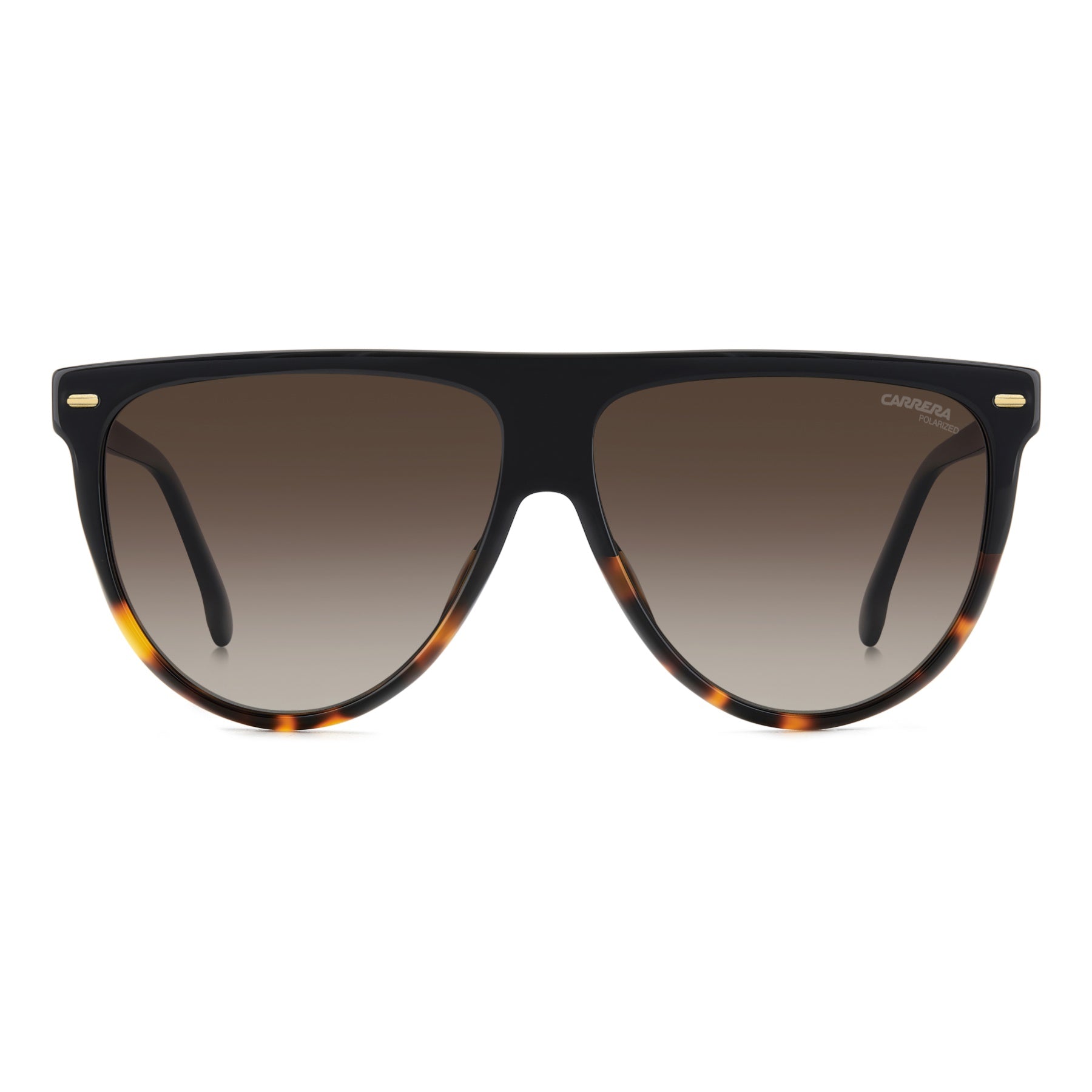 #color_BLACK SHADED HAVANA