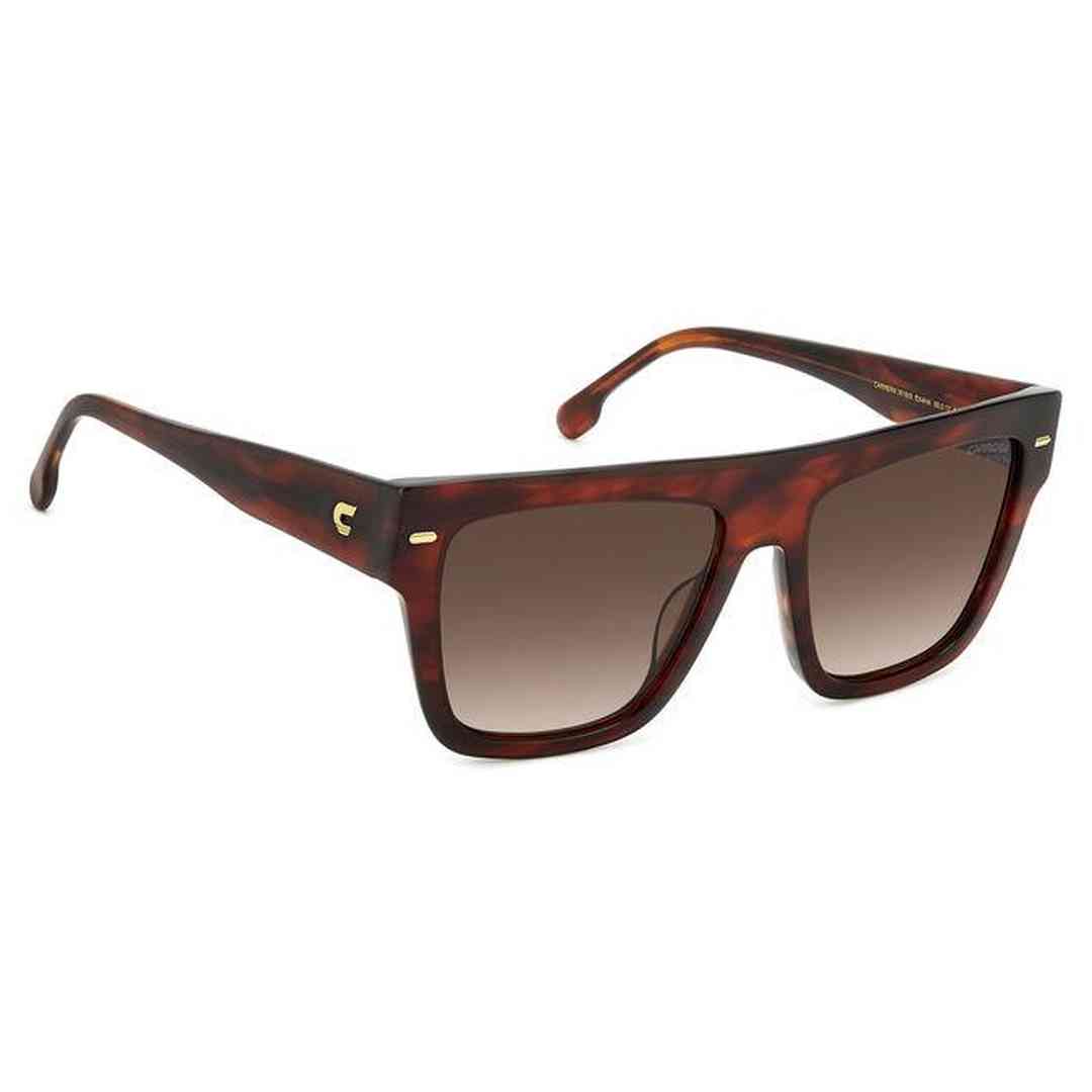 #color_BROWN HORN