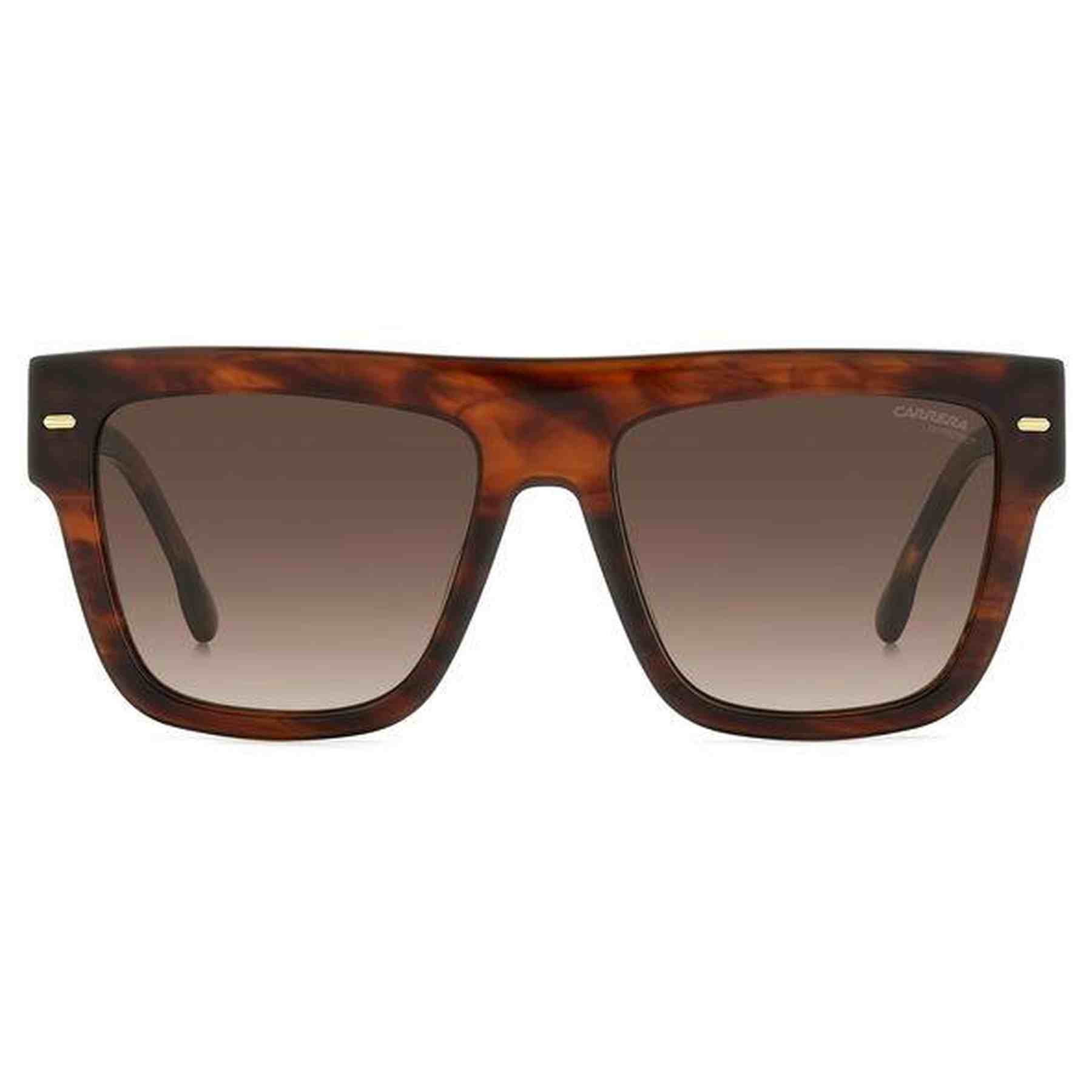 #color_BROWN HORN