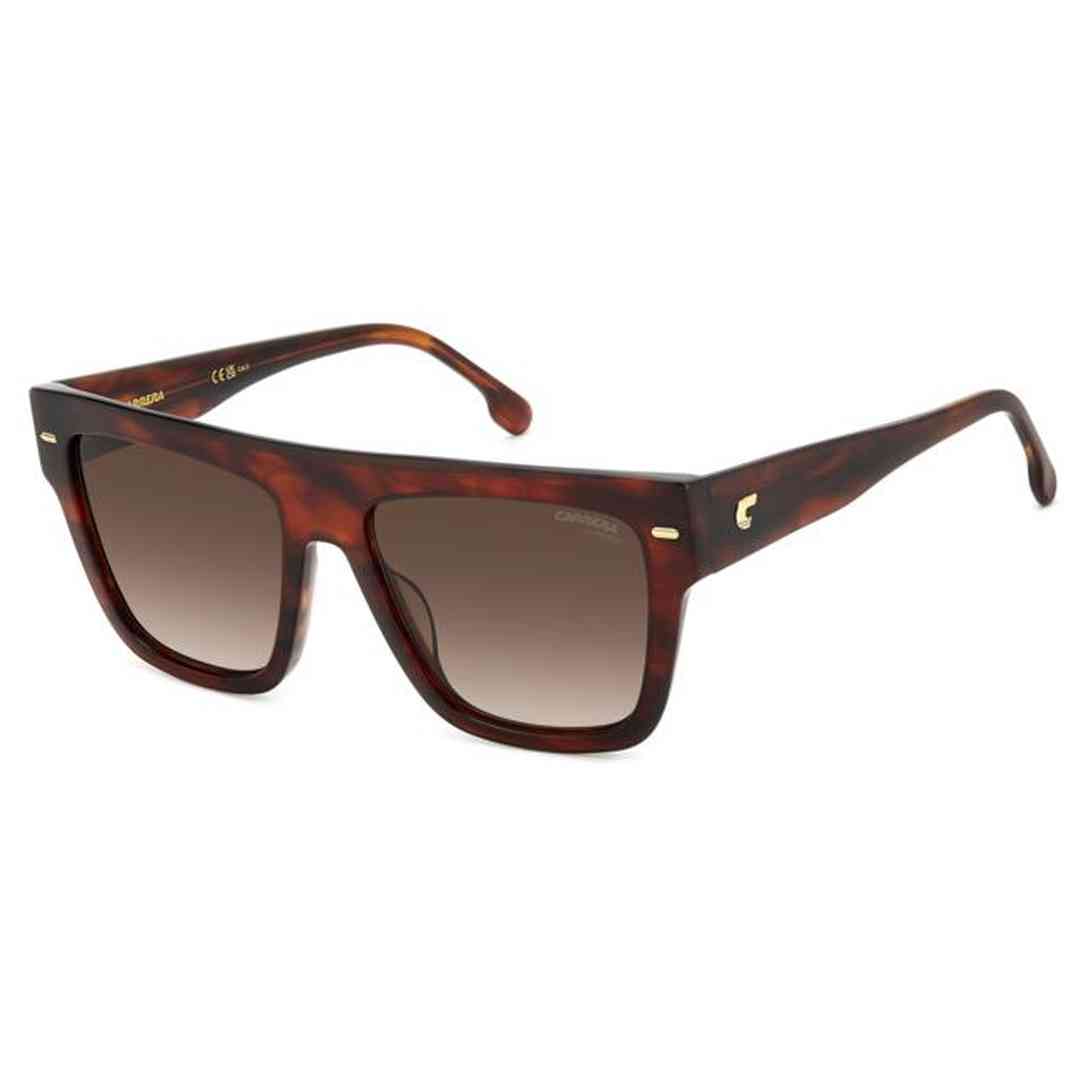 #color_BROWN HORN