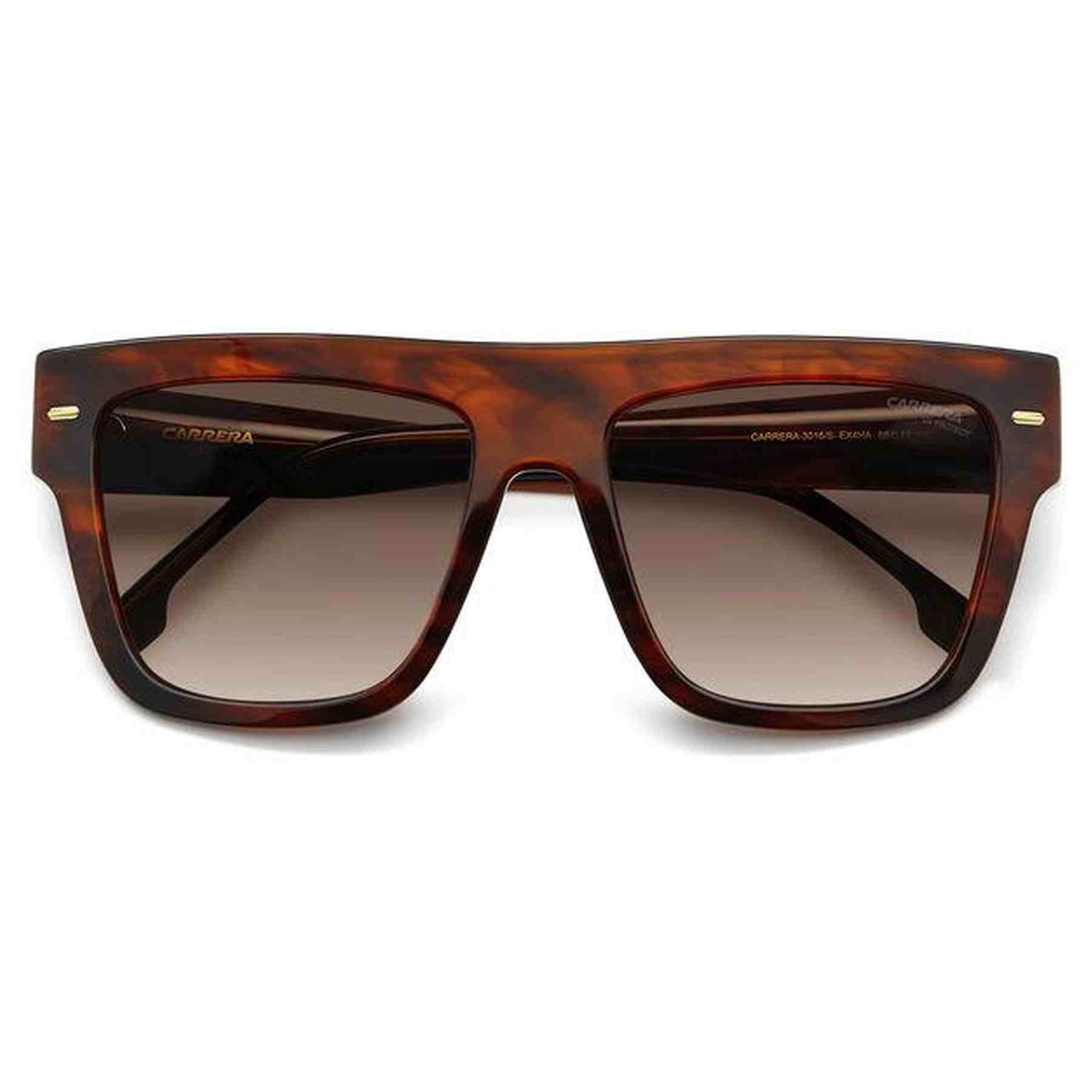#color_BROWN HORN