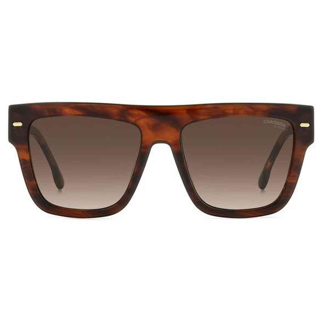 #color_BROWN HORN