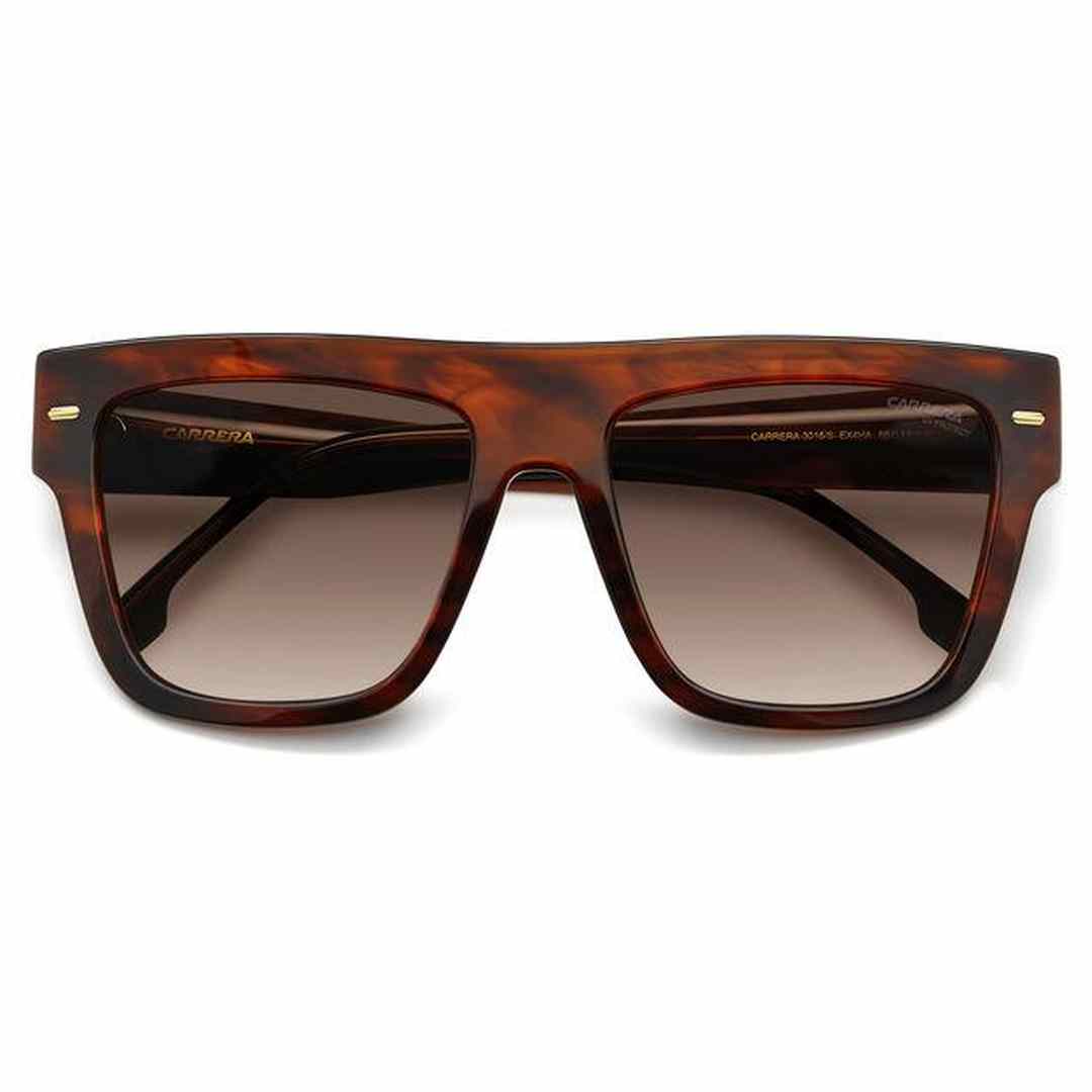 #color_BROWN HORN